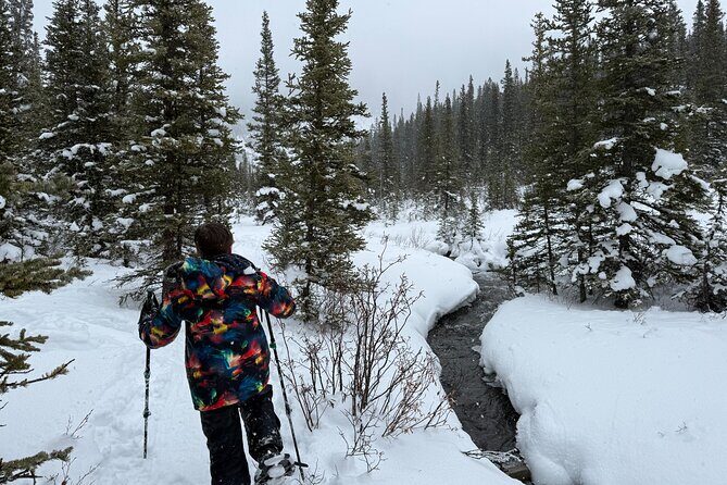 BANFF: Remote Guided Snowshoeing Adventure +Transportation - Final Thoughts