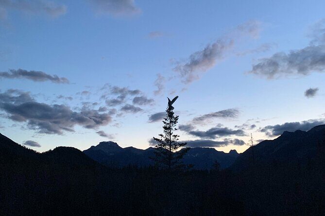 Banff Sunset and Stargazing Tour - 2hr Walking Tour - Key Points