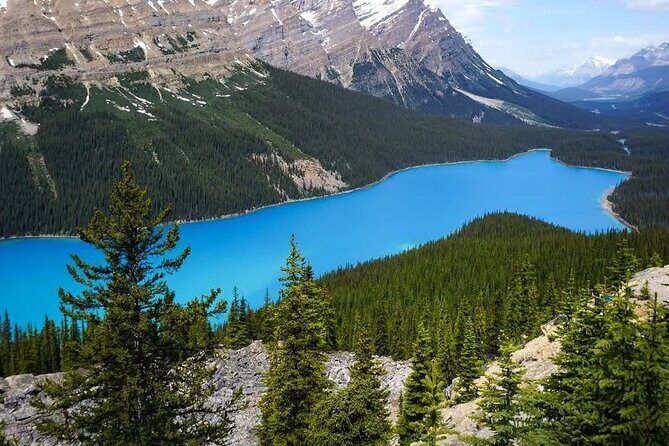 Banff to Columbia Icefield and Peyto Lake with Crowfoot Glacier - Key Points