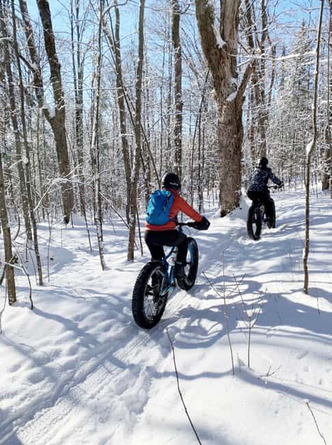 Banff Top Sights E-Fat Bike Tour  All Skill Levels - The Value of the Experience