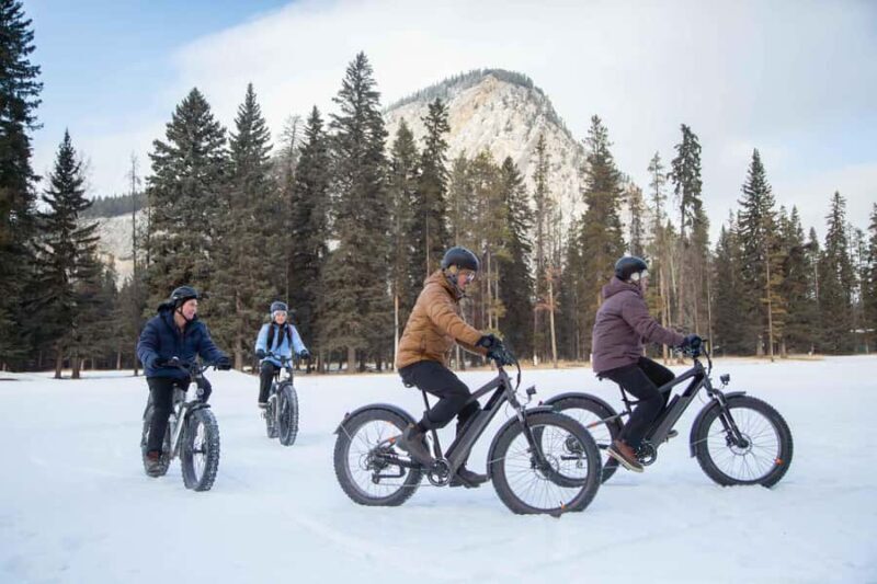 Banff Top Sights via Electric Fat Bike Tour All Skill Levels - Practical Details and Value