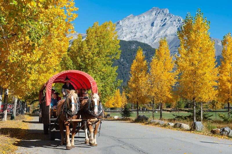Banff: Wagon Ride with Cowboy Cookout BBQ - A Closer Look at the Experience