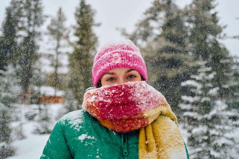 Banff: Winter Wilderness Walk with Wildlife Tracking - 2hrs - Scenic Backdrops and Photography Tips