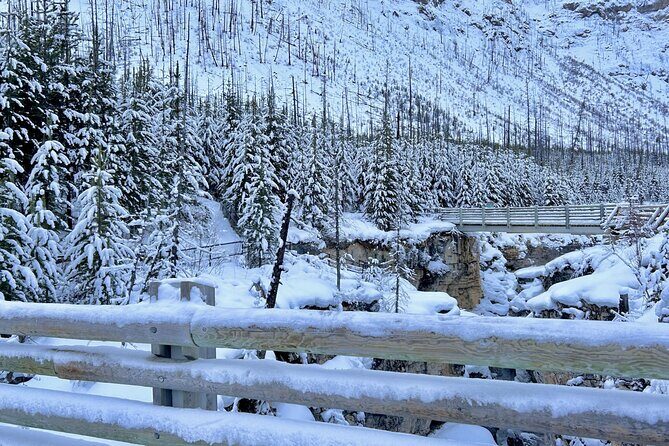 Banff, Yoho, & Kootenay National Parks Billingual Day Trip - FAQ