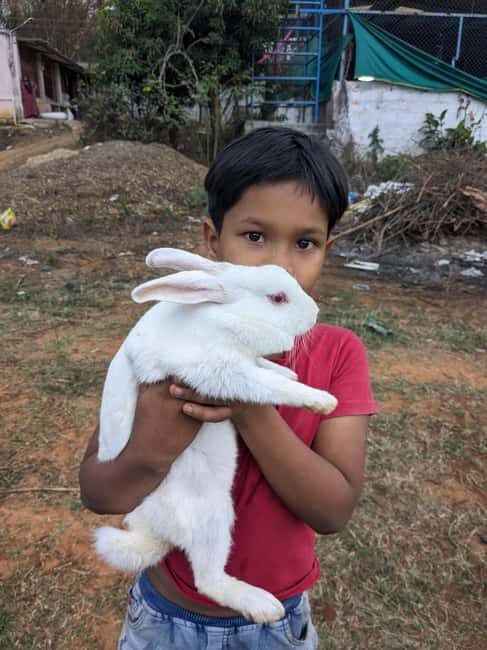 Bangalore: Big Barn Farm Visit with Animal Interactions - Bangalore: Big Barn Farm Visit with Animal Interactions