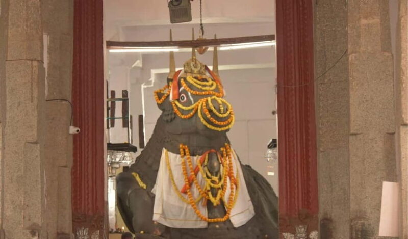 Bangalore City Tour: Explore Full-Day Sightseeing Trip - Who Is This Tour Best For?