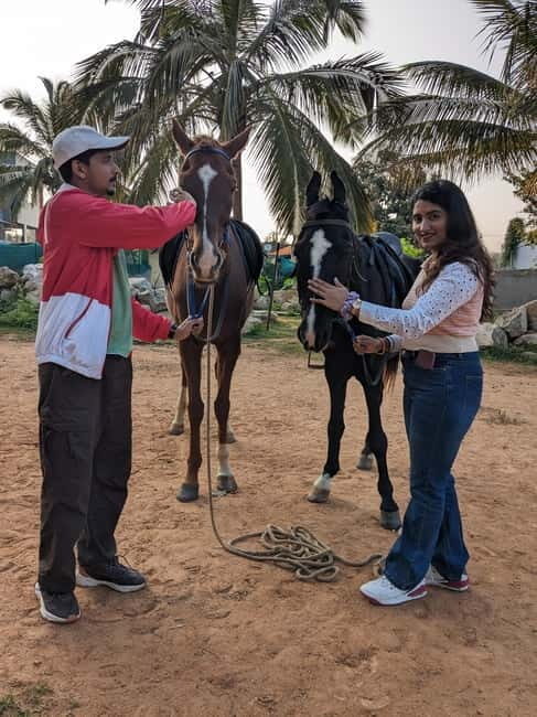 Bangalore: Horse Riding Safari Tour - A Detailed Look at the Bangalore Horse Riding Safari Tour