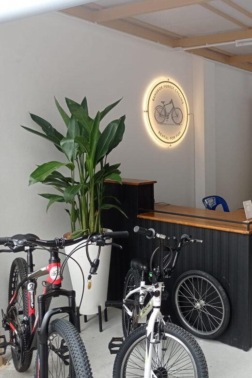 Bangkok Bicycle rental Benjakitti Park - Key Points