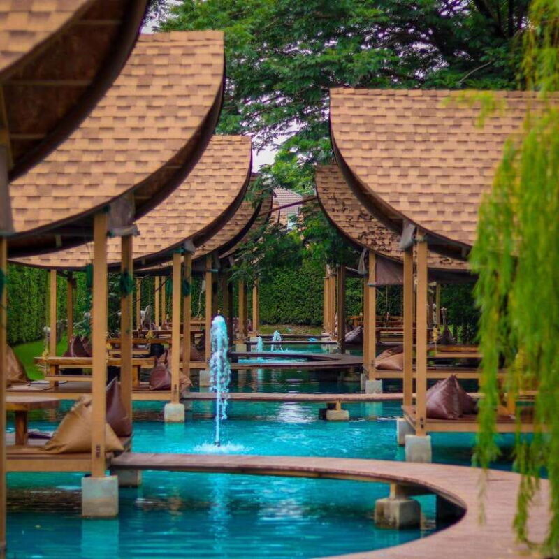 Bangkok: Bubble in the Forest Cafe Food Packages - Who Should Consider This Experience?