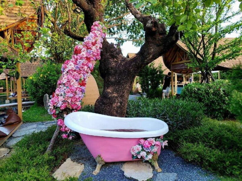 Bangkok: Bubble in the Forest Cafe Photography Journey - The Practical Details