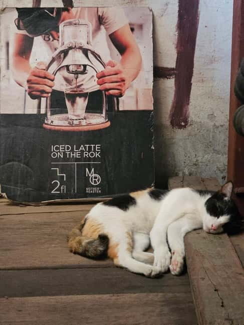 Bangkok: Chinatown Tour with Street Art, Sky Bar & Food - The Secret Sky Bar: A Sunset Retreat