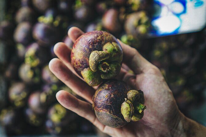 Bangkok Cycling Tour Khlong Toei Market and Bang Krachao Island - FAQ