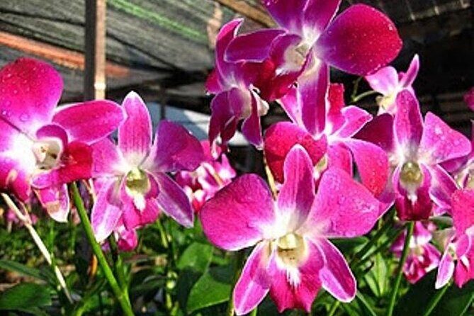 BANGKOK: Damnern Saduak Floating Market, Thai House - The Practicalities: What You Need to Know