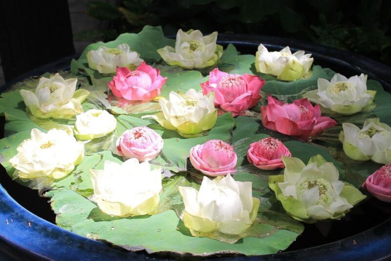 Bangkok: Jim Thompson House and Baan Krua Community Tour - Final thoughts and who will love this tour