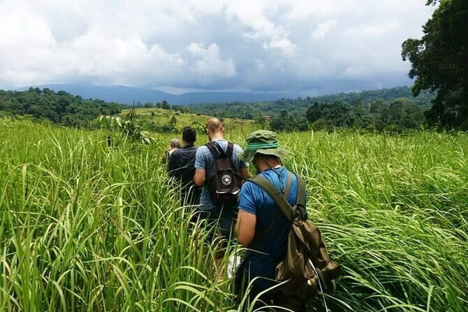 Bangkok: Khao Yai Nature Trails & Heaw Suwat Waterfall - Exploring Khao Yai: Nature Trails & Heaw Suwat Waterfall from Bangkok