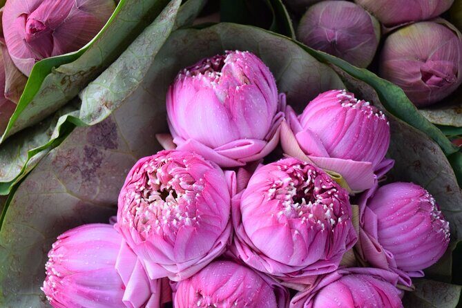 Bangkok Lotus Fields, Orchid Farm, and Flower Market Tour - Exploring Bangkok’s Floral World: A Detailed Review