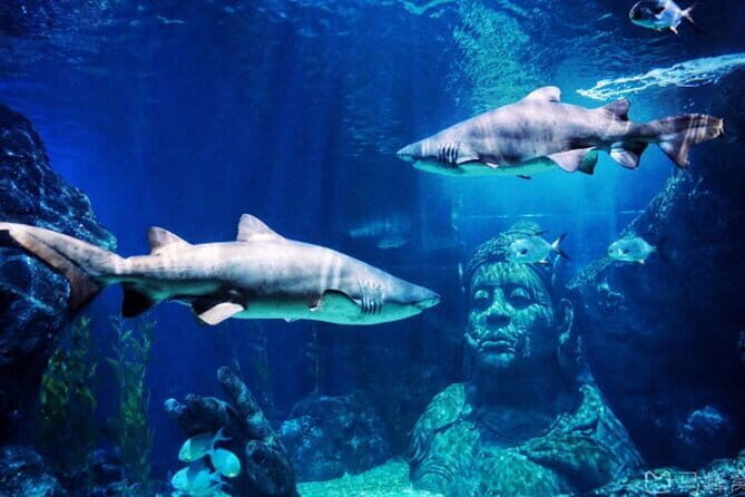 Bangkok Mahanakhon SkyWalk Entry ticket with Photo & Skyverse - Frequently Asked Questions