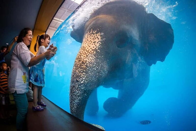 Bangkok/Pattaya: Khao Kheow Zoo Private Tour with Pickup - A Closer Look at the Experience