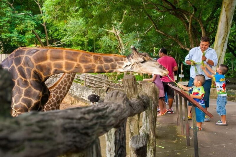 Bangkok/Pattaya: Khao Kheow Zoo Private Tour with Pickup - Final Thoughts
