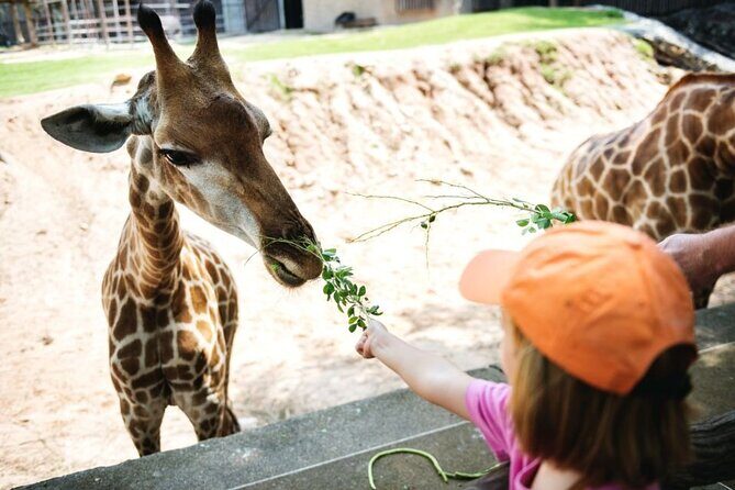 Bangkok: Safari world & Marine park - Authentic Experiences Highlighted in Reviews