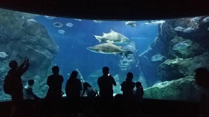 Bangkok SEA LIFE & Madame Tussauds Combo with Hotel Transfers - Key Points