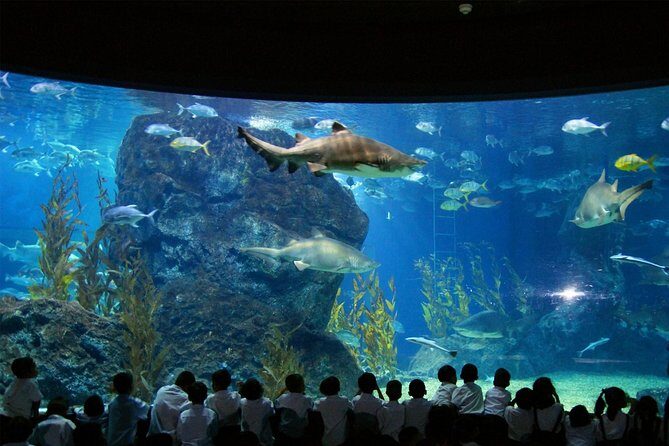 Bangkok SEA LIFE & Madame Tussauds Combo with Hotel Transfers - An In-Depth Look at the Experience
