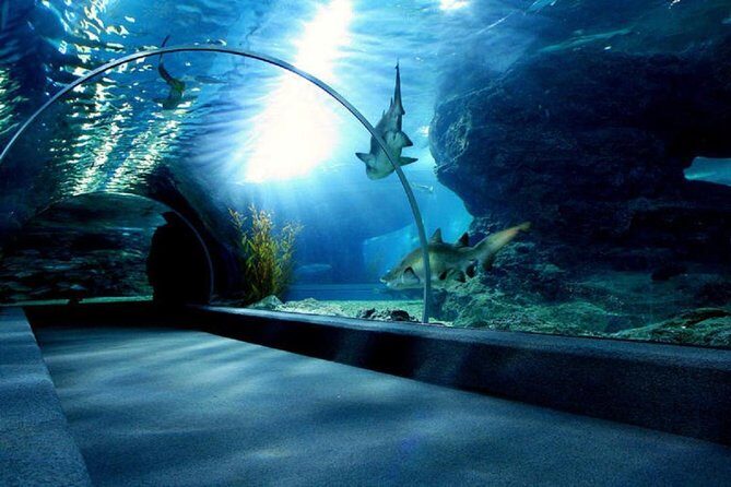 Bangkok SEA LIFE & Madame Tussauds Combo with Hotel Transfers - Who Should Consider This Tour?