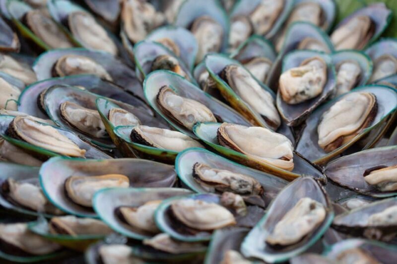 Bangkok: Viva Alangka Cruise with Optional Hotel Transfer - Final Words