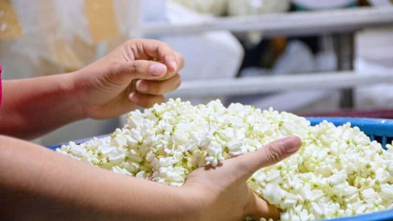 Bangkok: Wat Pho, Wat Arun at Dusk, and Flower Market Tour - FAQ