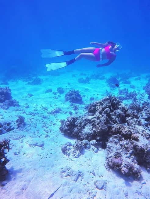 Bantayan Island: Fundive Freediving Excursion - Quick Overview