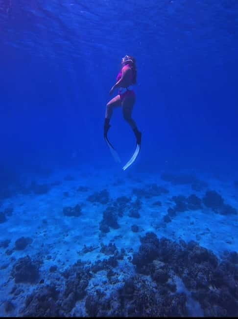 Bantayan Island: Fundive Freediving Excursion - Who Will Love This Experience?