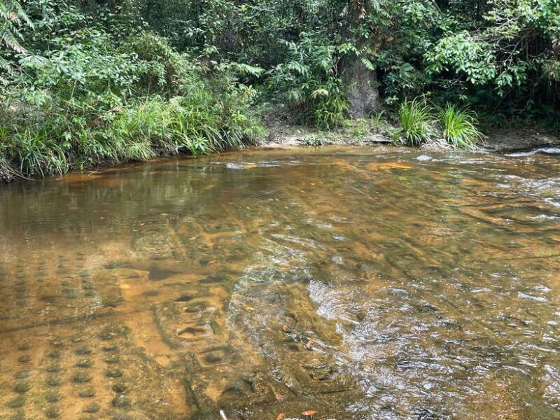 Banteay Srei, Kulen Waterfall & Beng Mealea Small-Group Tour - FAQ