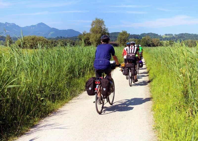 Banyoles: Small group historical walking tour - Key Points
