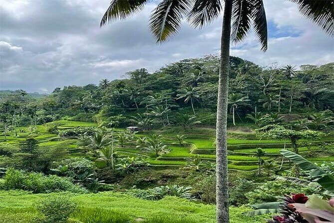 Banyumala Waterfall, Jatiluwih, Ulun Danu and Tanah Lot tours - Practicalities & Tips