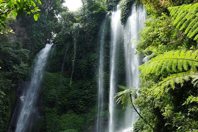 Banyuwana & Banyumala Waterfalls Tour (Private & All-Inclusive ) - Key Points