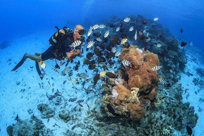 Baptism diving in the turquoise waters of Tahiti - What to Expect: Step-by-Step