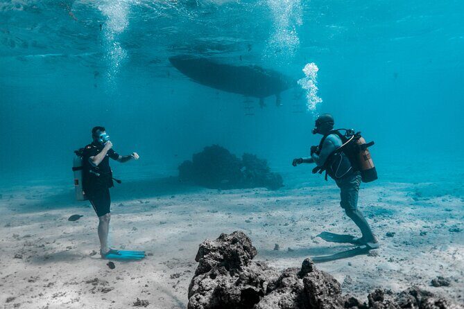 Baptism diving in the turquoise waters of Tahiti - Value and Pricing: Is It Worth It?