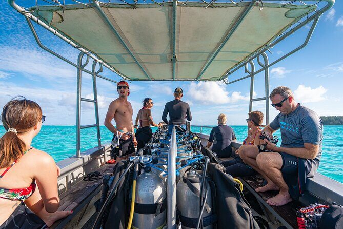 Baptism: introductory dive at Moorea Fun Dive - Who Is This Tour Best For?