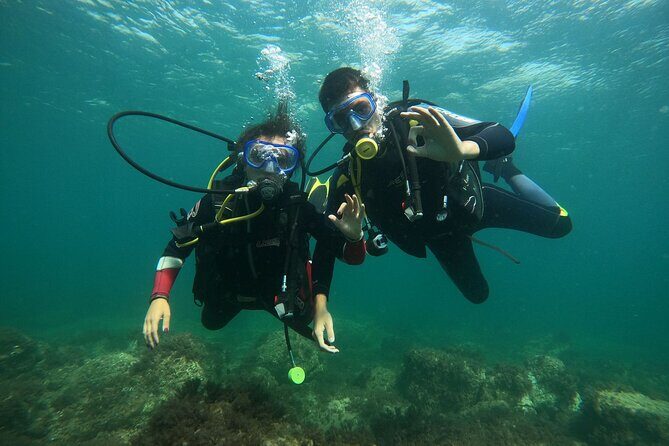 "Baptism of the Sea: Diving on the Island of Elba" - Key Points