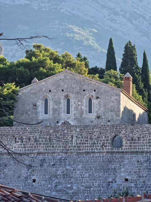 Bar: City Tour with Museum and Old Olive Tree Visit - Final Thoughts