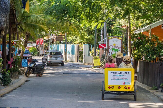 Bar Crawl Tour in West End Village by Pedibike- Let the Good Times Roll - Frequently Asked Questions