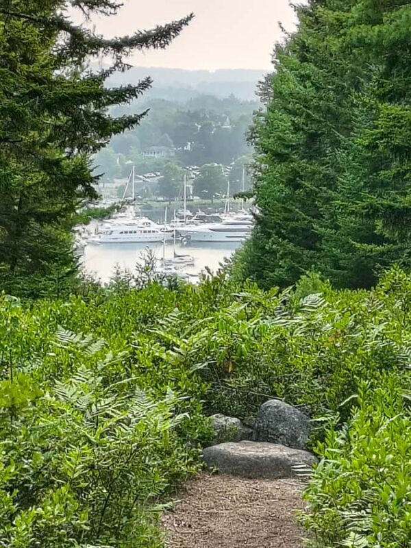 Bar Harbor: Acadia National Park and Lighthouse Private Tour - The Value of a Private Guided Tour