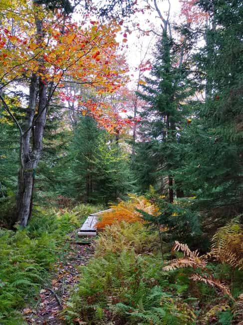 Bar Harbor: Acadia National Park Autumn Leaf Private Tour - Key Points