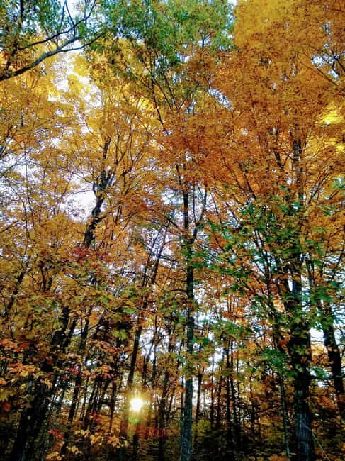 Bar Harbor: Acadia National Park Autumn Leaf Private Tour - Who Should Book This Tour?