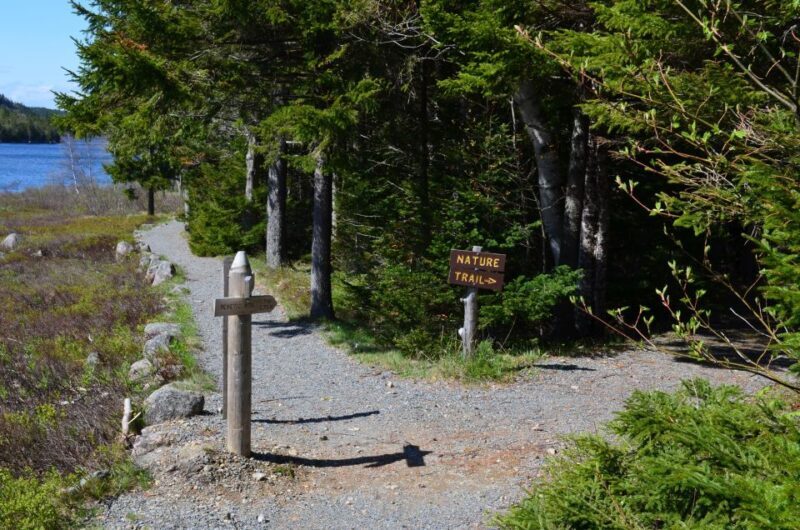 Bar Harbor: Acadia National Park Private Tour with Lunch - FAQ
