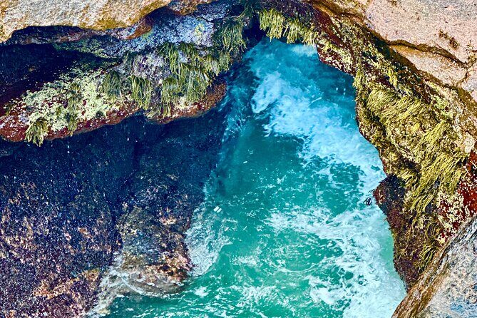 Bar Harbor and Acadia Full Day Private Tour from Portland - FAQ