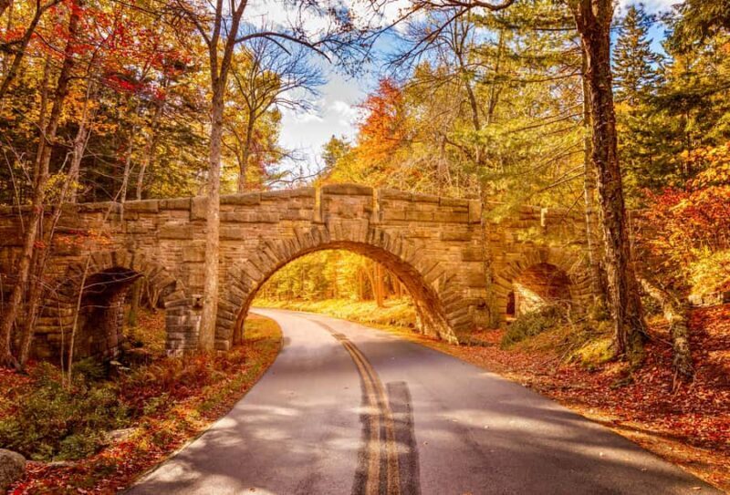 Bar Harbor: Premium Private Tour with Local Guide - The Value of a Private, Guided Experience