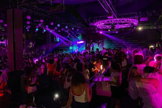 Bar hopping in Rome - Final Thoughts: Is This Tour for You?