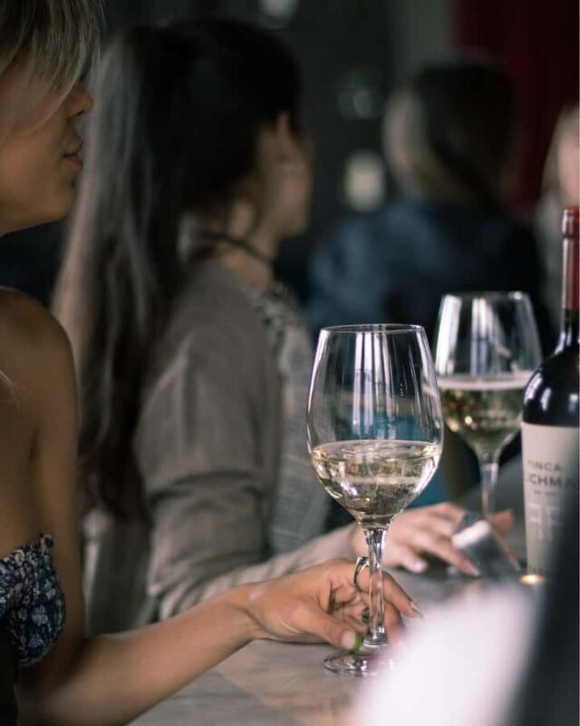 Bar Safari: 4 Best Mendozas Bars in 1 night. + Full Dinner - Key Points