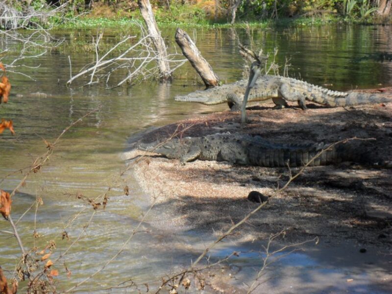Barahona: Lake Enriquillo Discovery Tour - Authenticity and Recommendations